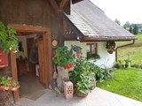 Chalet Schwarzwald _ 305-DE7826.150.1