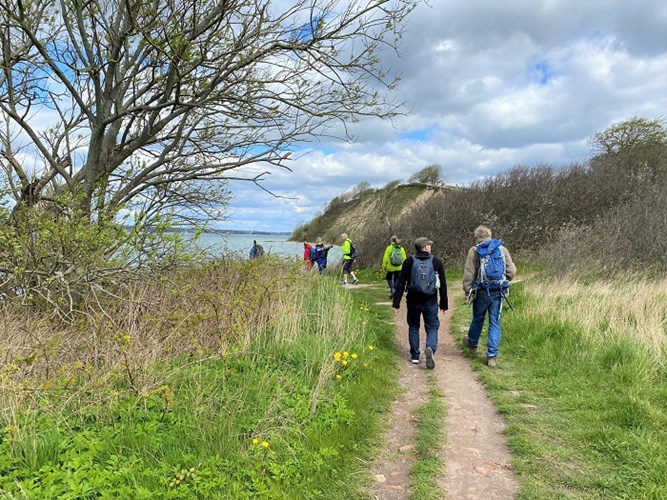 Weg zur Steilküste Holnis