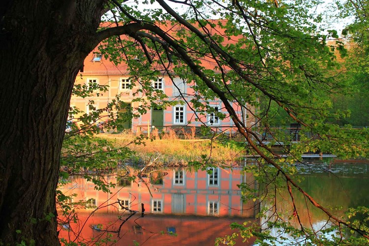 Fewo Feldberger Seenlandschaft 512-469861