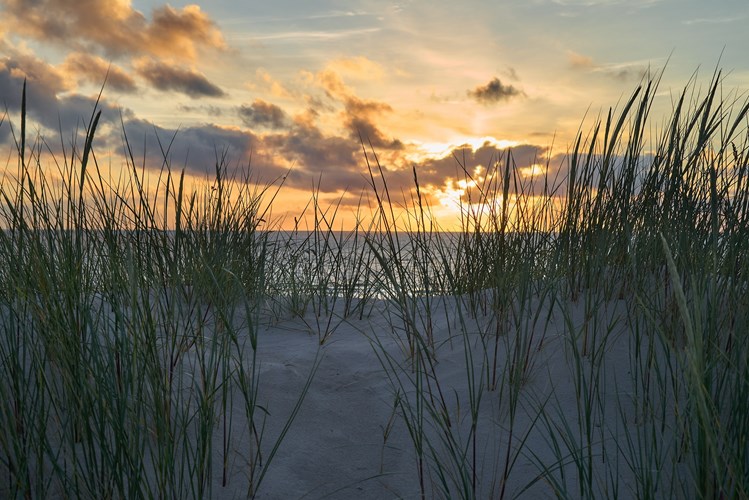 Vejers Strand - Malerischer Sonnenuntergang über der Nordsee mit Strandgras auf einer Düne im Vordergrund