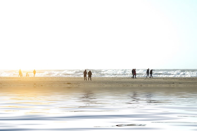 Küste auf der Insel Römö