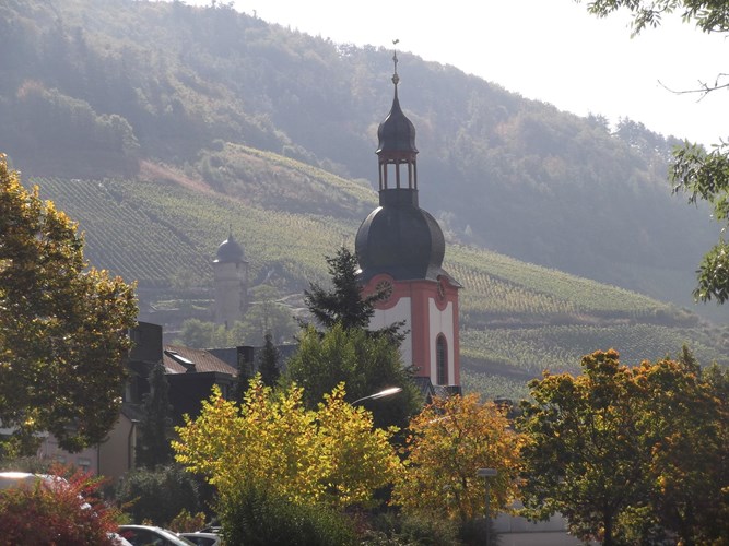 Herbstferien RLP - Wählen Sie unter 2.381 Ferienhäusern - Feline Holidays