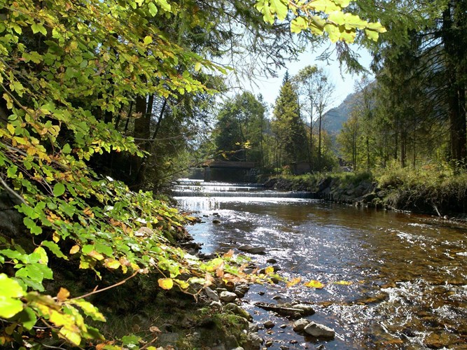 Herbstferien Bayern 2021 - Wählen Sie unter 14.317 Ferienhäusern - Feline Holidays