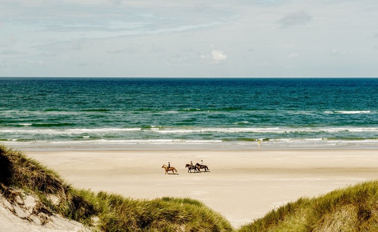 Reiten am Strand in Dänemark