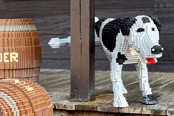 Ein süßer Hund, der täglich die Veranda in LEGOREDO® bewässert