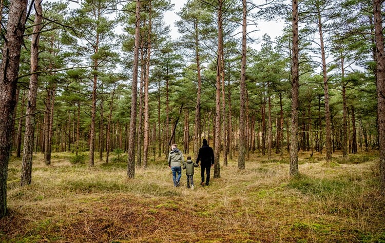 Familie in Blåvand beim Wandern