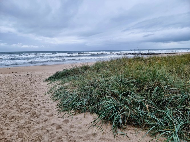 Blavand Strand – raue Nordsee, weite Dünen und unberührte Natur zum Durchatmen