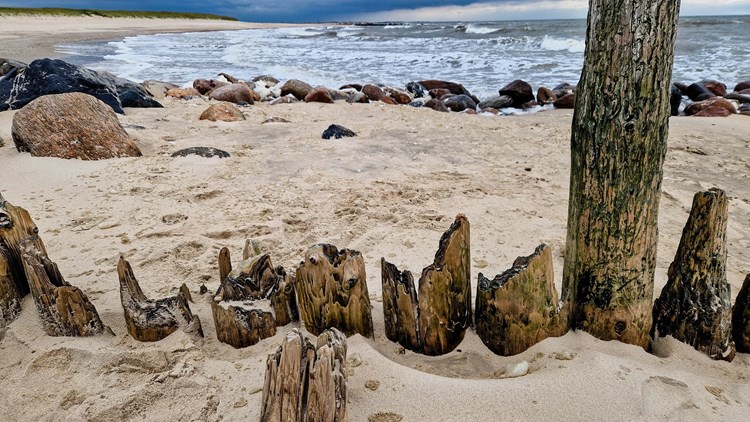 Am Strand von Blavand – raue Nordsee, natürliche Formen und faszinierende Küstenlandschaft