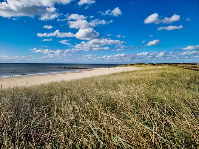 Am Strand von Blavand – weite Dünen, glitzerndes Meer und unendliche Freiheit unter blauem Himmel
