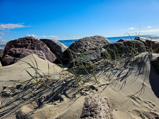 Am Strand von Blavand – faszinierende Naturdetails, weicher Sand und die klare Weite der Nordsee