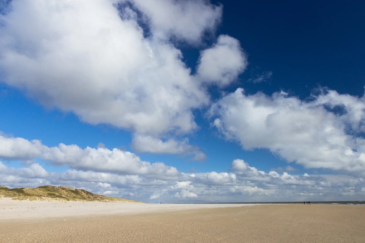 Sanddünen von Blavand – unendliche Weite und pure Nordseeidylle