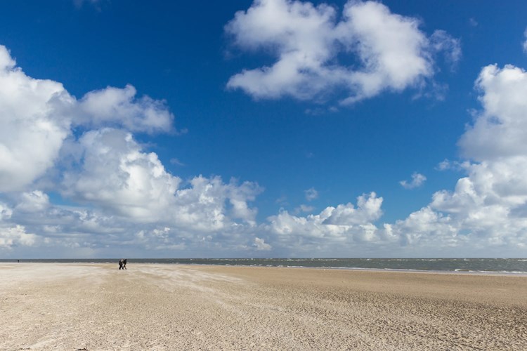 Sanddünen von Blavand – grenzenlose Weite, frische Meeresbrise und pure Erholung an der Nordsee