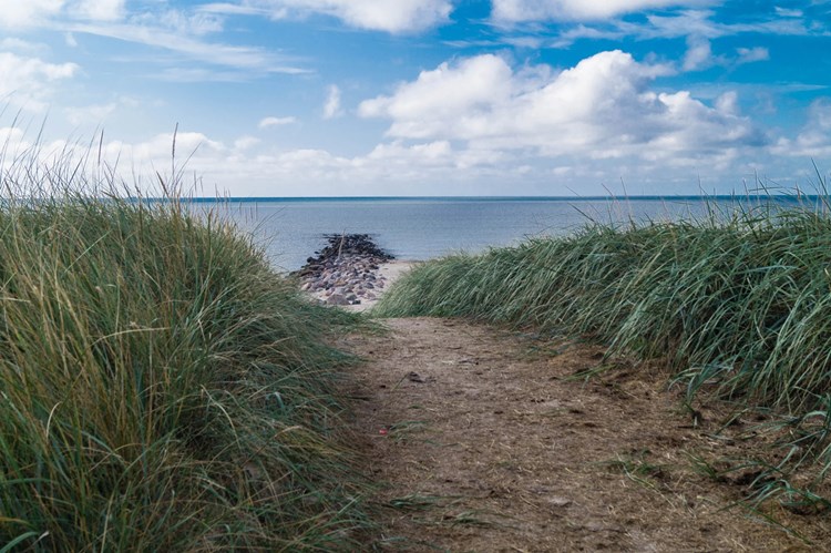 Dünenweg in Blavand – auf direktem Weg zur ruhigen Nordsee und unberührter Natur