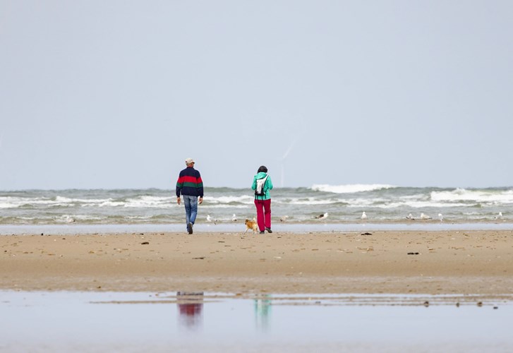 Blavand Strand – frische Nordseeluft, weite Horizonte und entspannte Momente am Meer