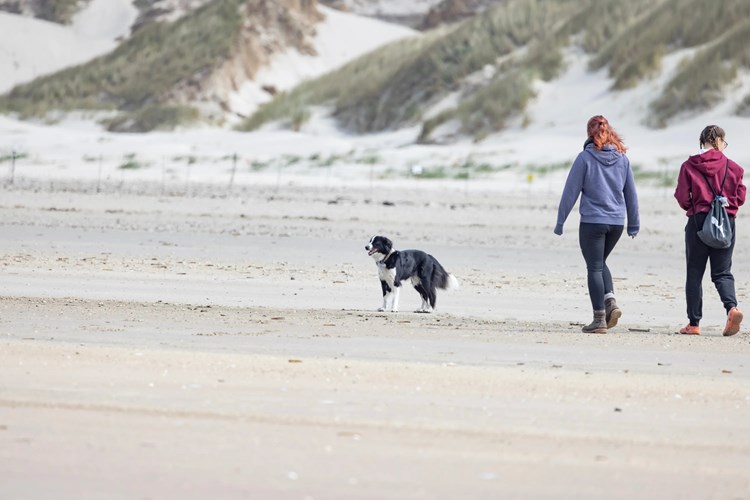 Blavand Strand – gemeinsam unterwegs an der frischen Nordsee, mitten in unberührter Dünenlandschaft