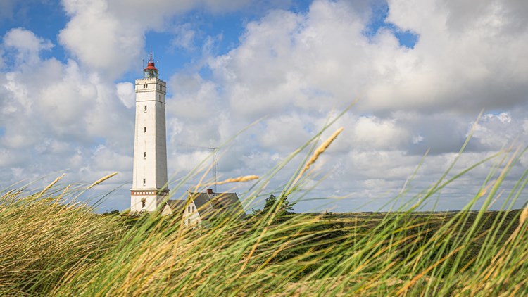 Leuchtturm von Blavand – Wahrzeichen der Nordsee, umgeben von Dünen und wilder Natur