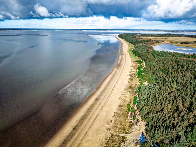 Aus der Vogelperspektive_Die Wattenmeerküste in der Bucht von Ho