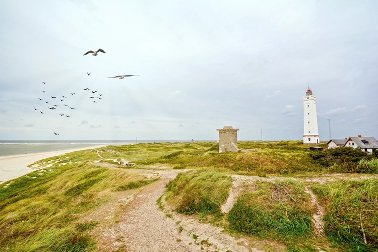 Leuchtturm und Bunker in Blavand – raue Nordsee, weite Dünen und faszinierende Küstenlandschaft Europas