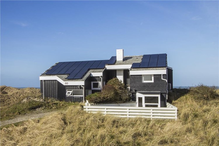 poolhaus dänemark mit hund