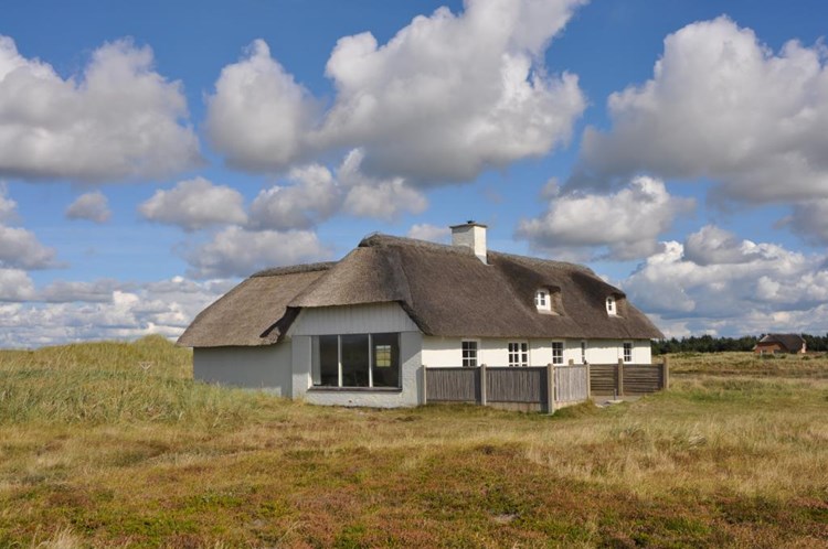 ferienhaus fehmarn mit hund privat