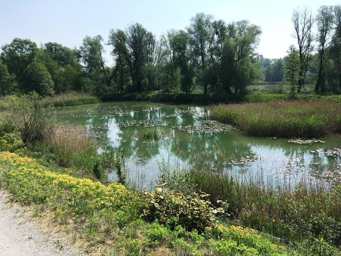 Bad Füssing_530-923967