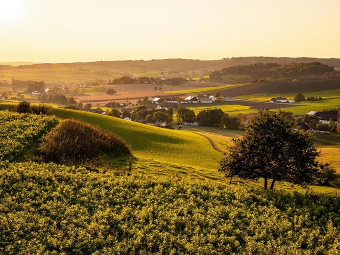 Bad Griesbach im Rottal_530-331556