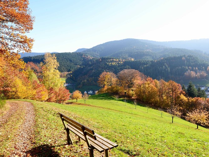 Bad Peterstal-Griesbach_530-157061