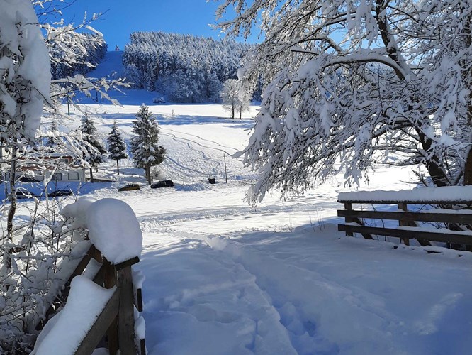 Baiersbronn_530-793088