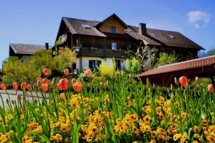 Bayerische Gmain 512-2886588