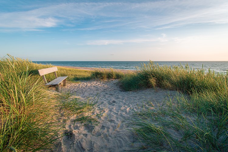 Bench in the sunshine at the west coast of Denmark