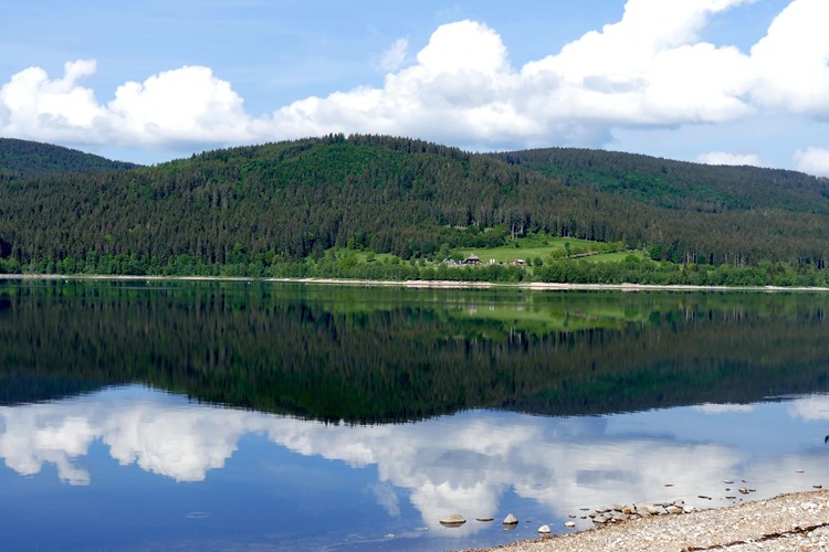 Bernau im Schwarzwald_540-157608-123696