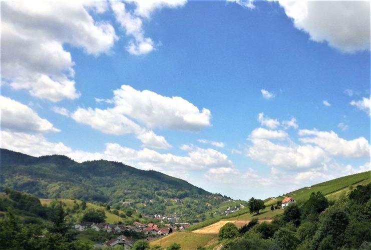 Bühlertal_512-2720458