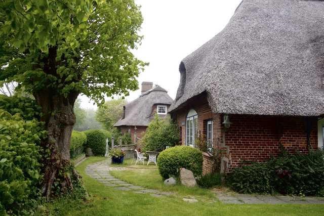 Ferienhaus Dörphof 512-2798639