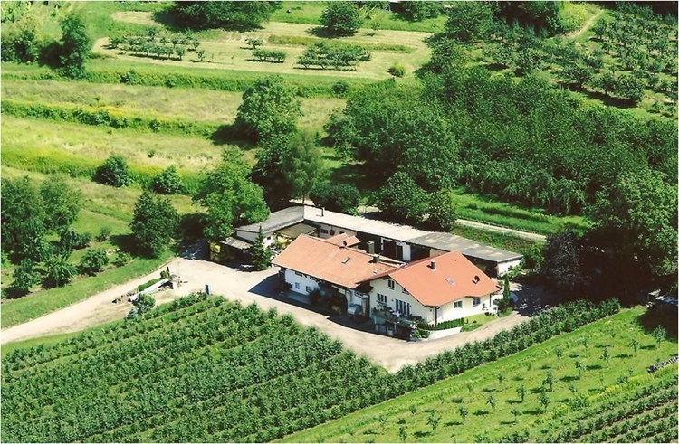 Herbolzheim_512-2717869