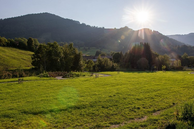Ferienhaus Immenstadt im Allgäu 512-2942759