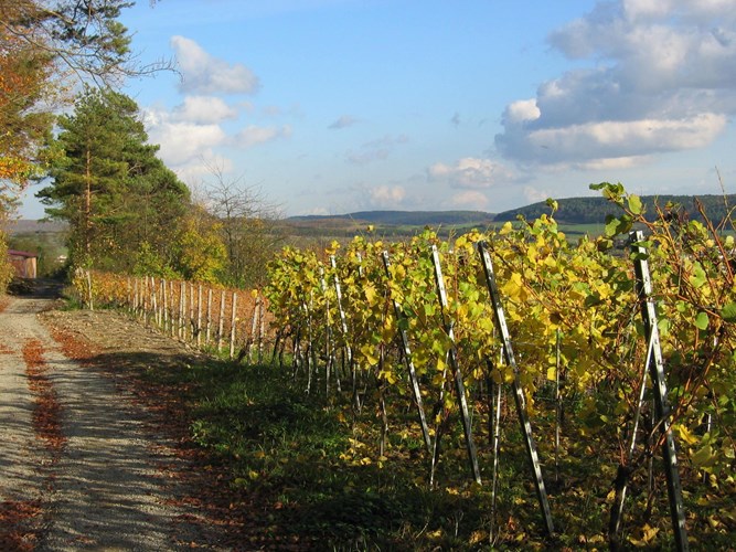 Karlstadt am Main_512-2661972