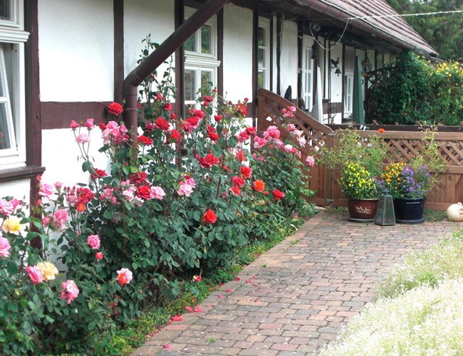 Ferienhaus Klocksin  512-2999270