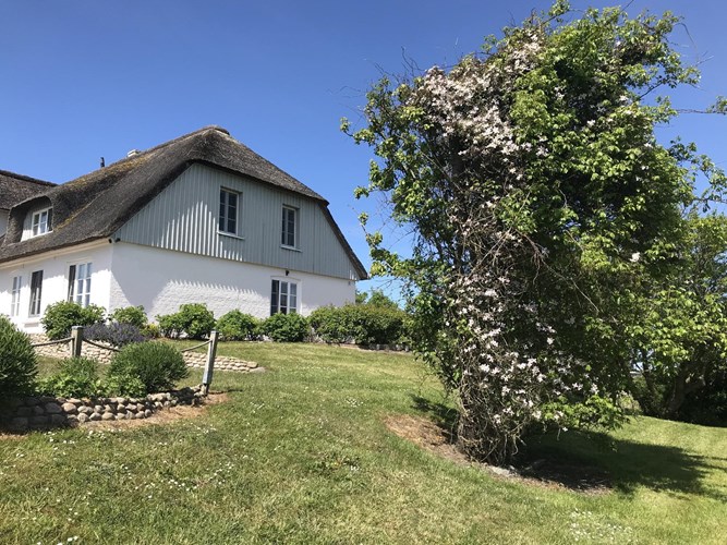 Ferienhaus Pellworm  512-3006363