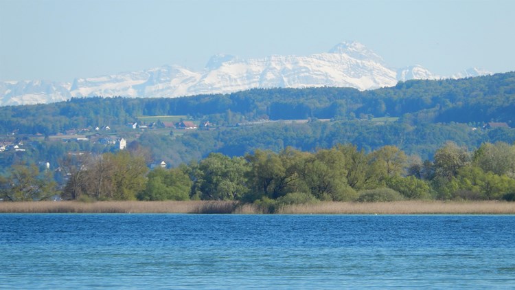 Radolfzell_512-2718678