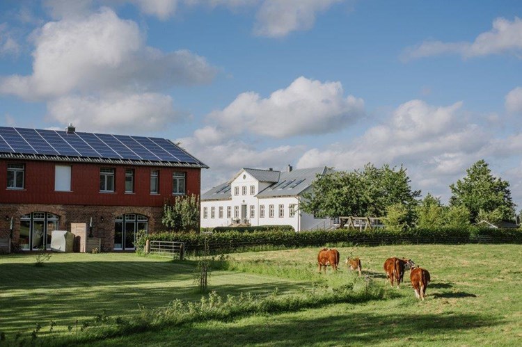 Ferienhaus Ulsnis 512-2680344