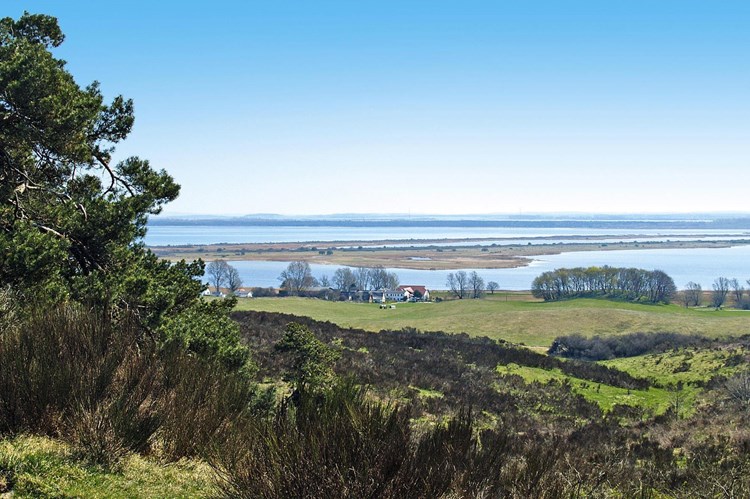 Vitte_521-DOS10001-CYB