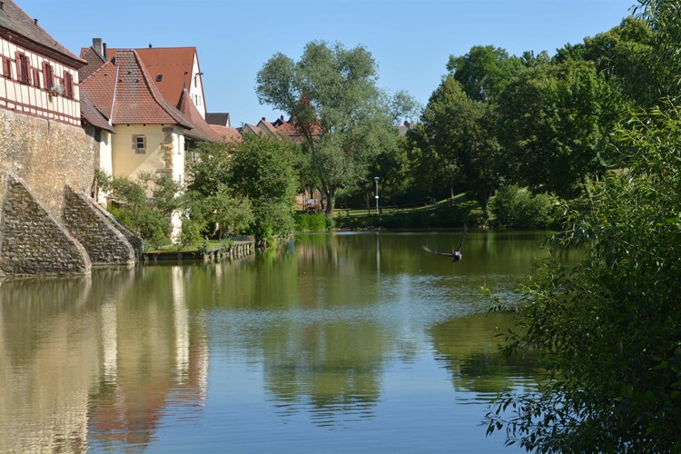 Weissenburg in Bayern_512-2830928