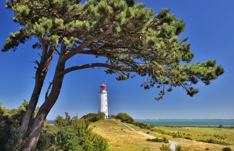 Leuchtturm auf der Insel Hiddensee