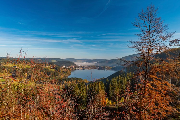 Hinterzarten_540-123367-90938