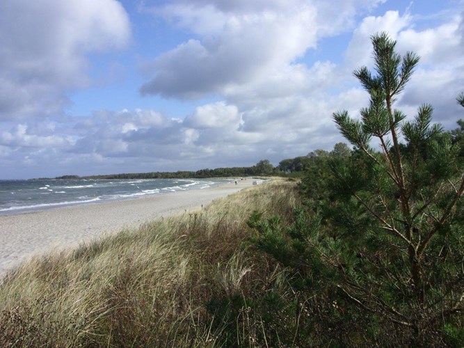 Hohen Wieschendorf_540-147728-113474-1