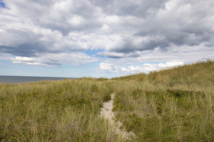 Husby Klit (holiday home) Populated place, Holstebro