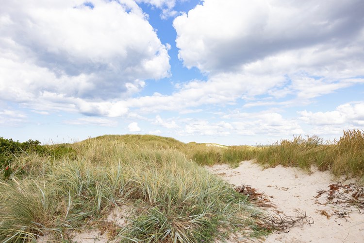 Husby Klit(holiday home) Populated place,