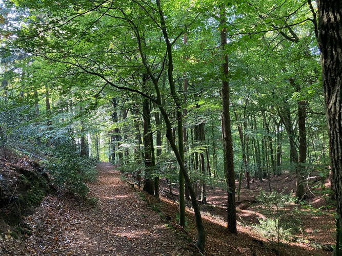 Ibbenbüren_512-446683