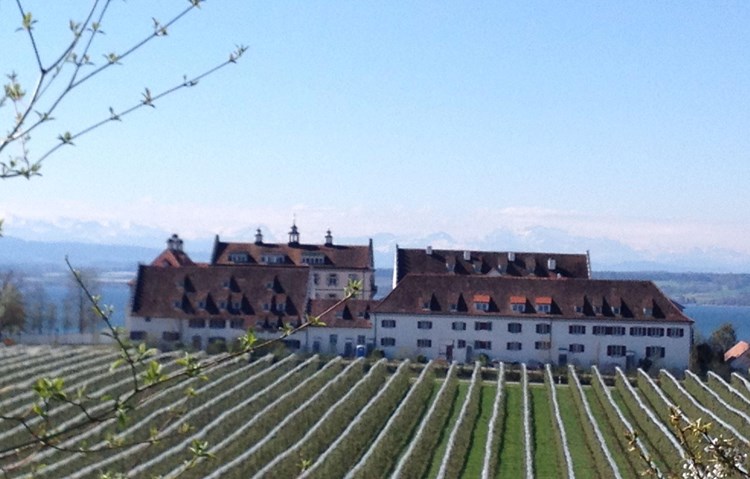 Immenstaad_512-2718901