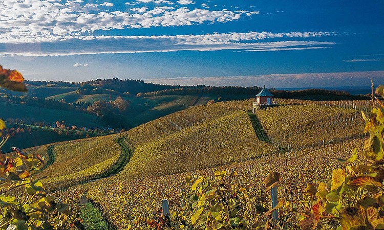 Kappelrodeck_512-2922021